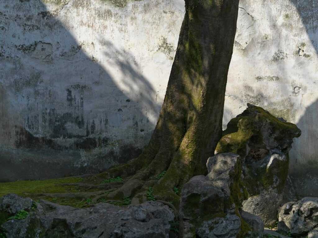 Gameplay Enhancements