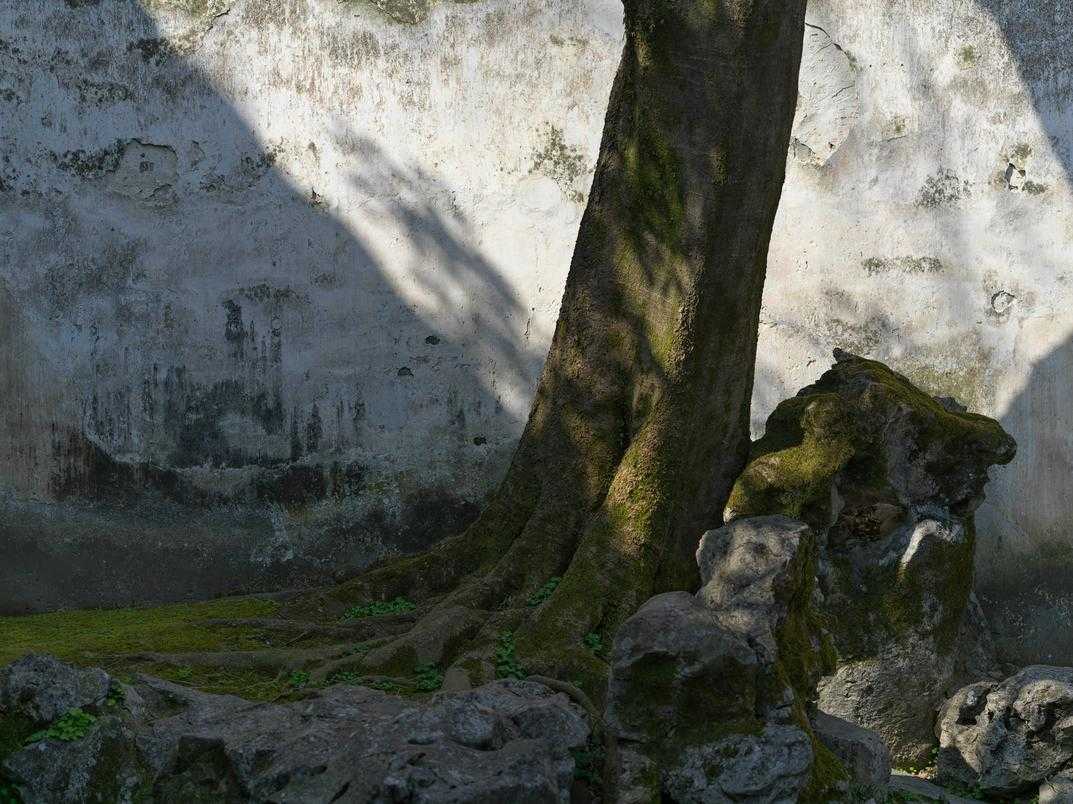 Gameplay Enhancements