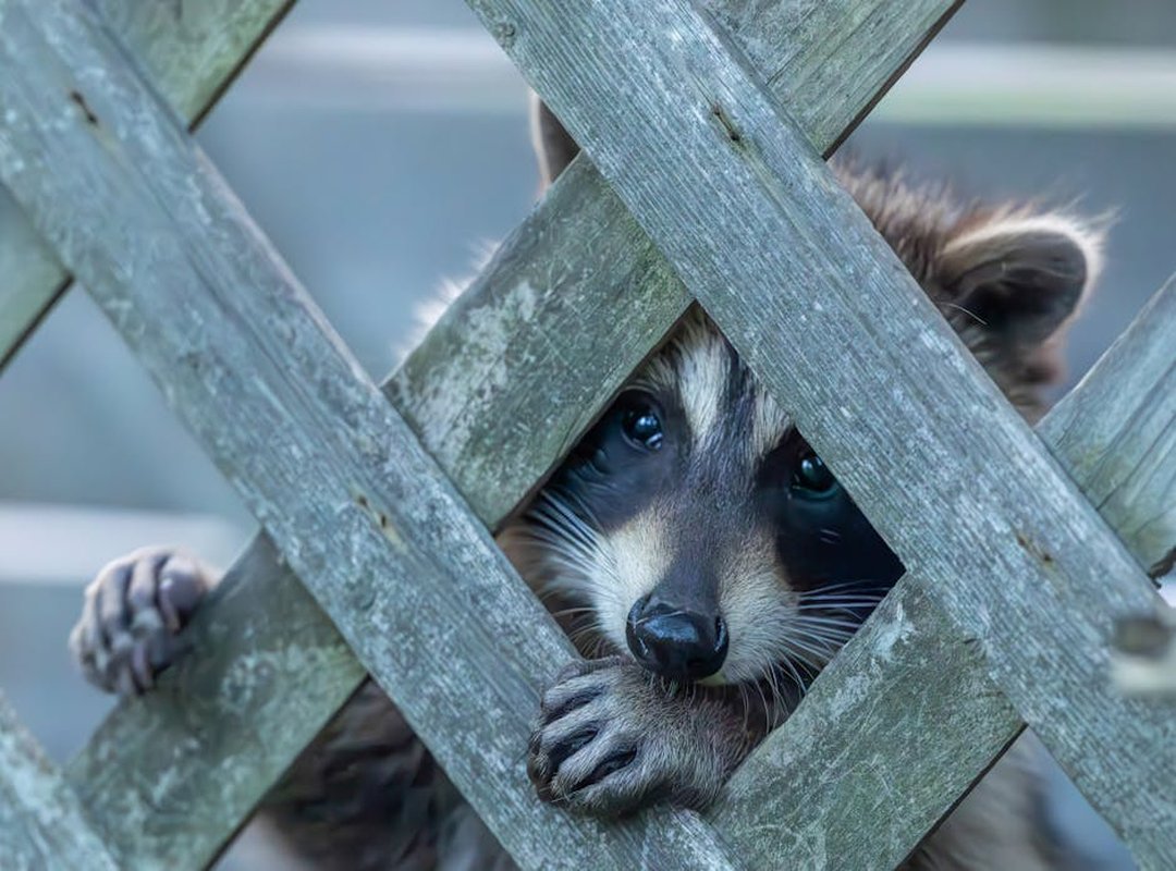 Turn Coloring Time into a Fun Learning Adventure
