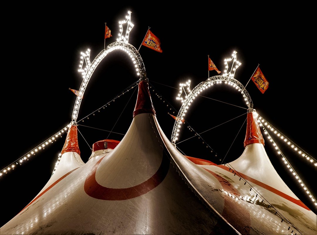 How to Use Digital Circus Coloring Pages