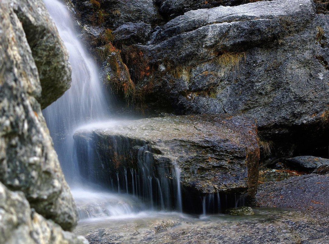 the iron claw torrent